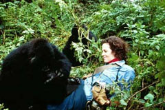 Sigourney Weaver als Diane Fossey